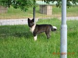 2010_07_08 069.jpg